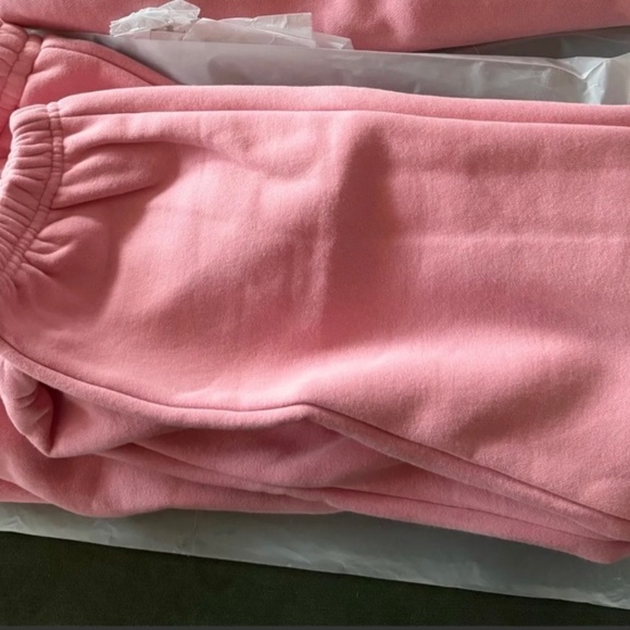 Parke Blush Drawstring Sweatpants - Picture 2 of 2